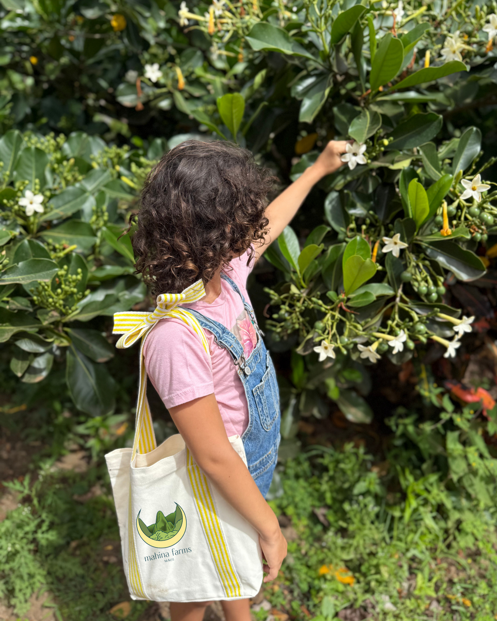 Mahina Farms Maui Canvas Tote with Yellow Striped Bow Straps