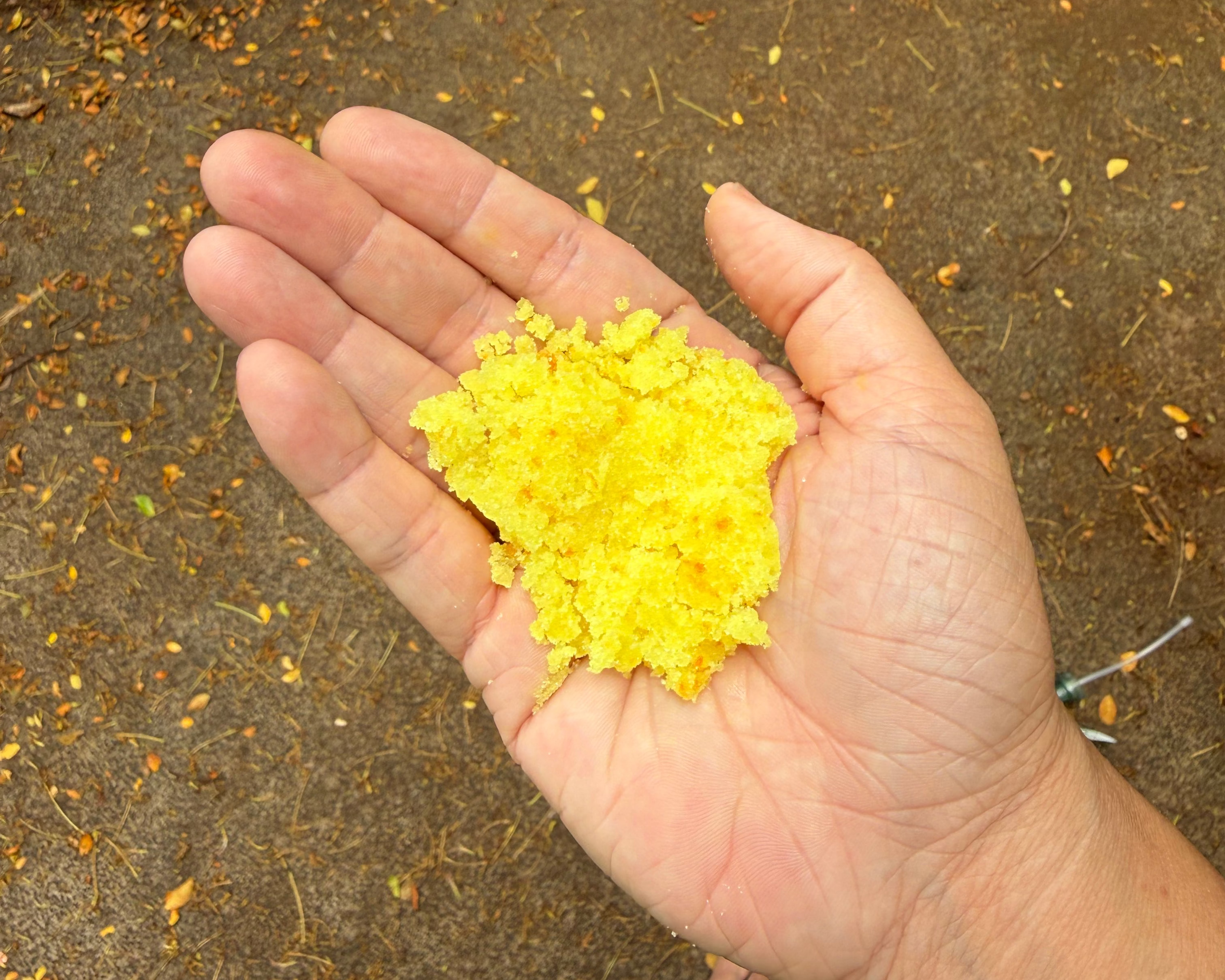 Ōlena Sugar Body Scrub