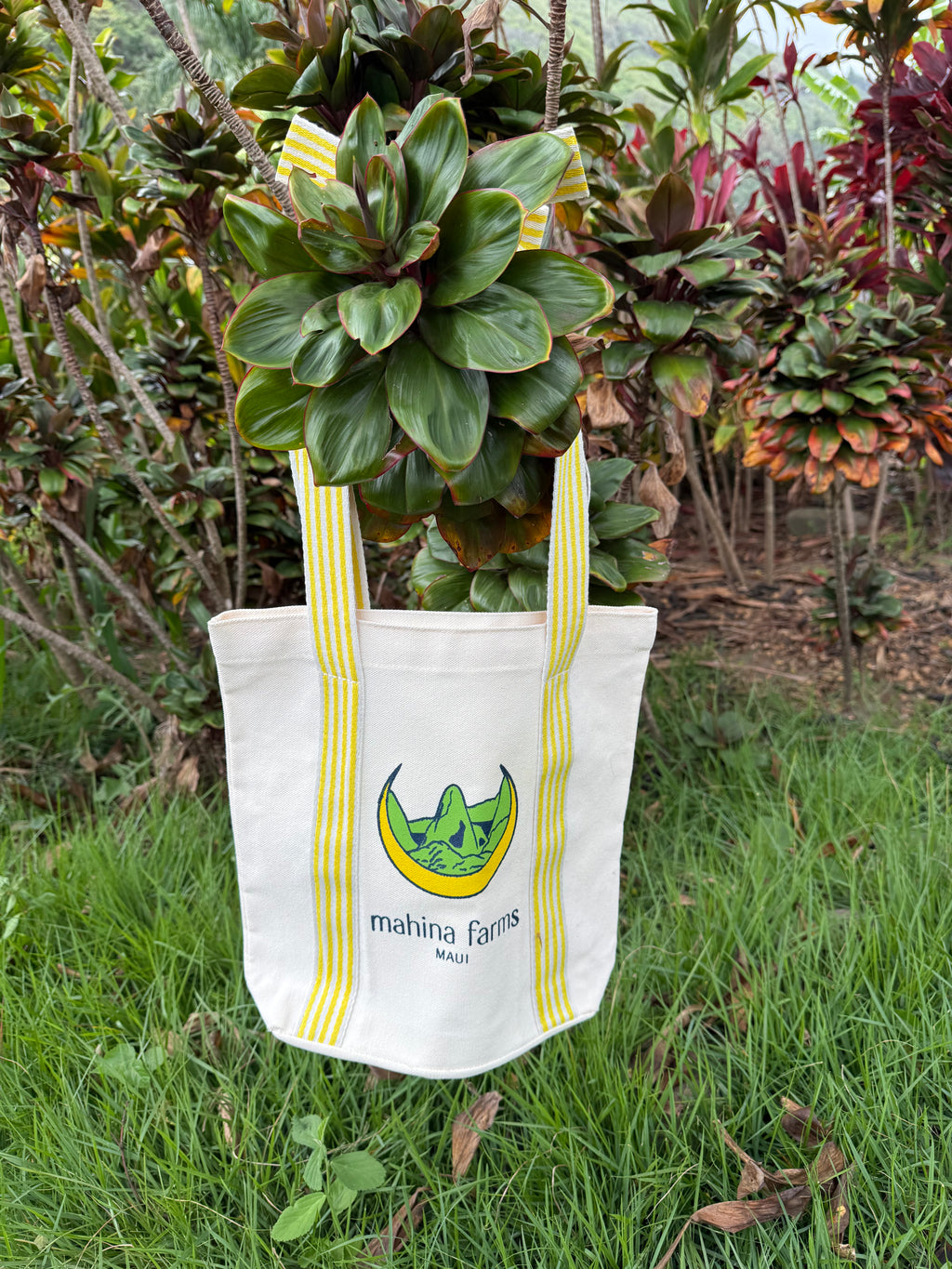 Mahina Farms Maui Canvas Tote with Yellow Striped Bow Straps