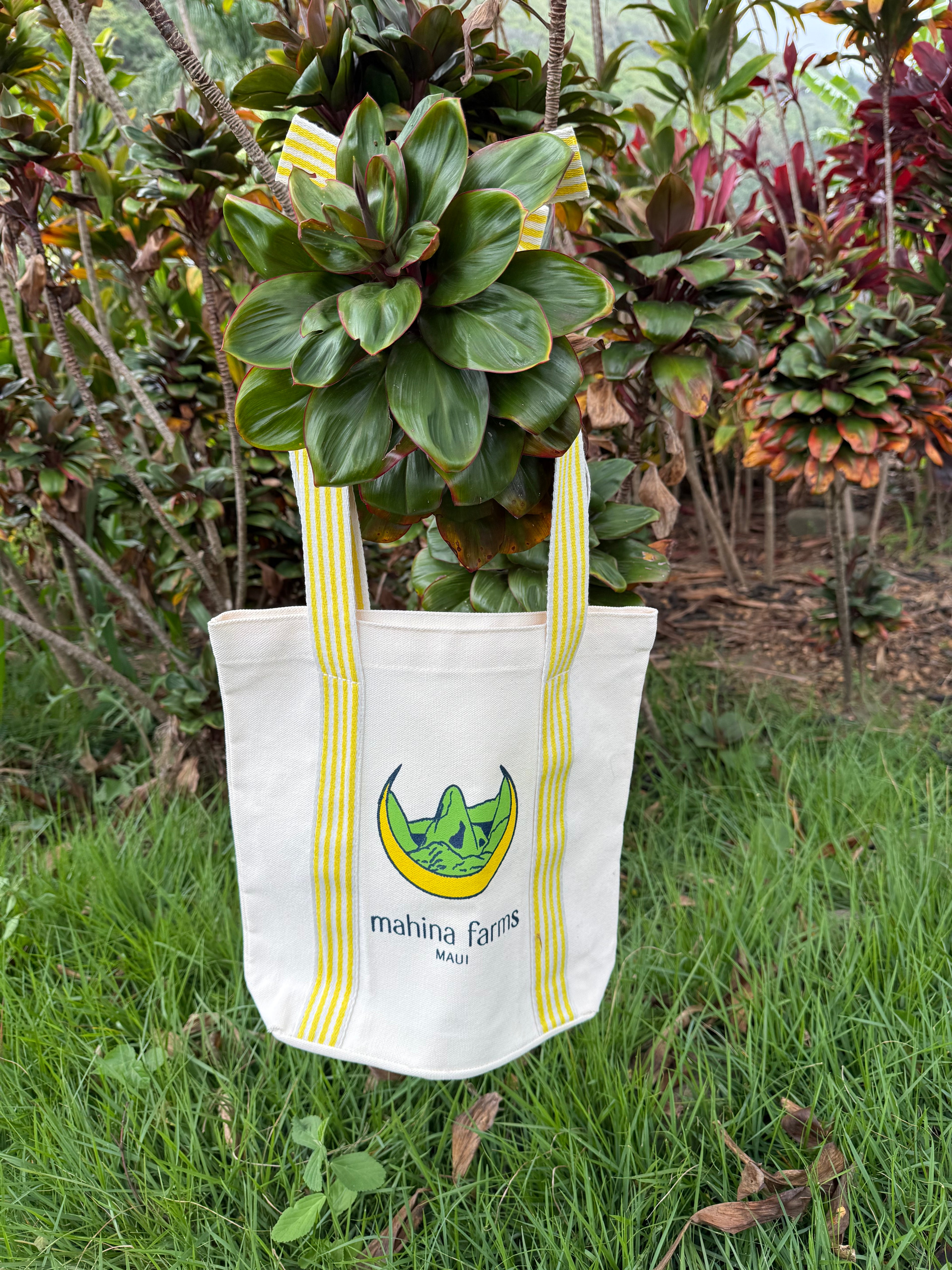 Mahina Farms Maui Canvas Tote with Yellow Striped Bow Straps